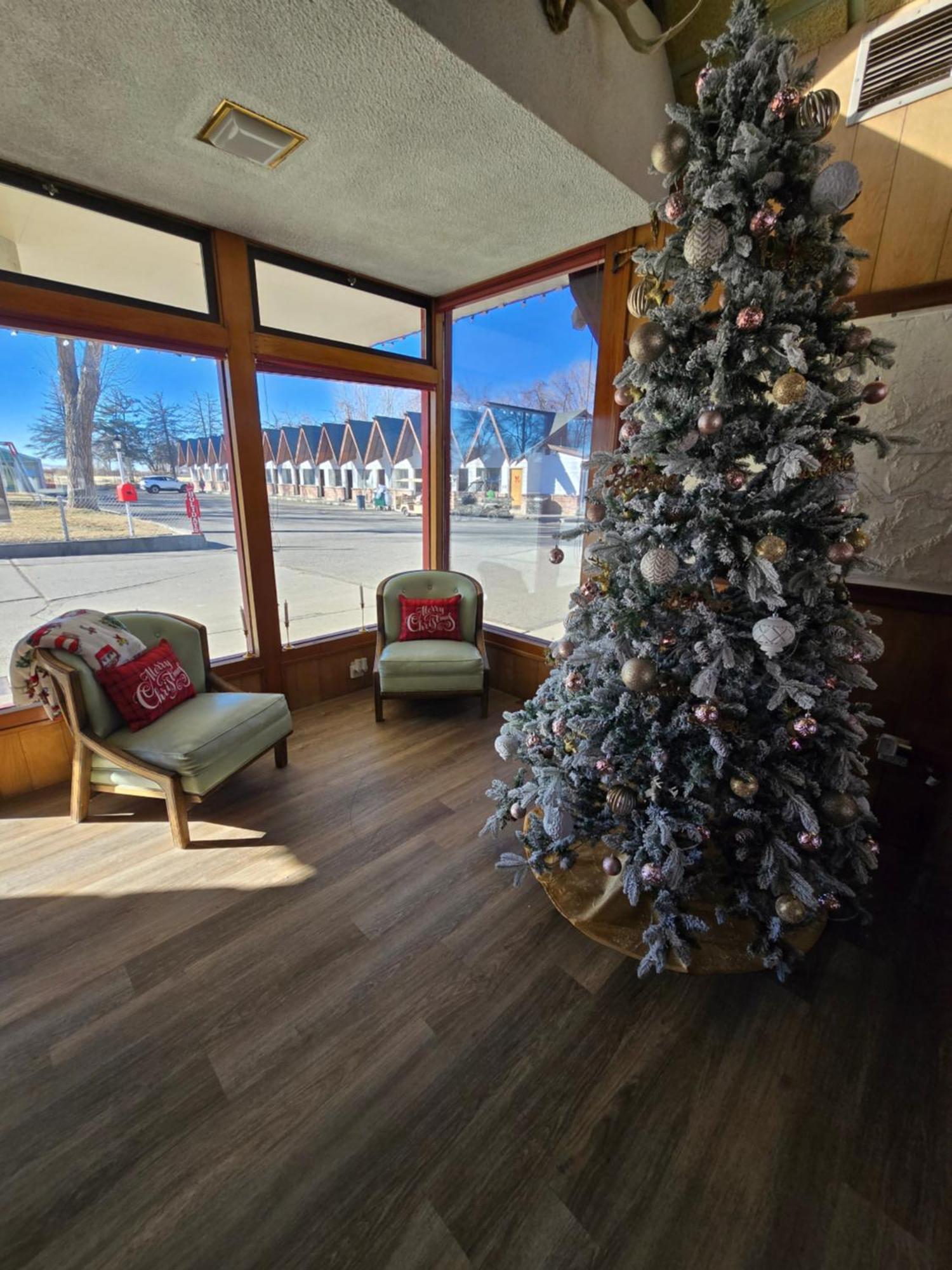 Scott Shady Court Motel Winnemucca Exteriér fotografie